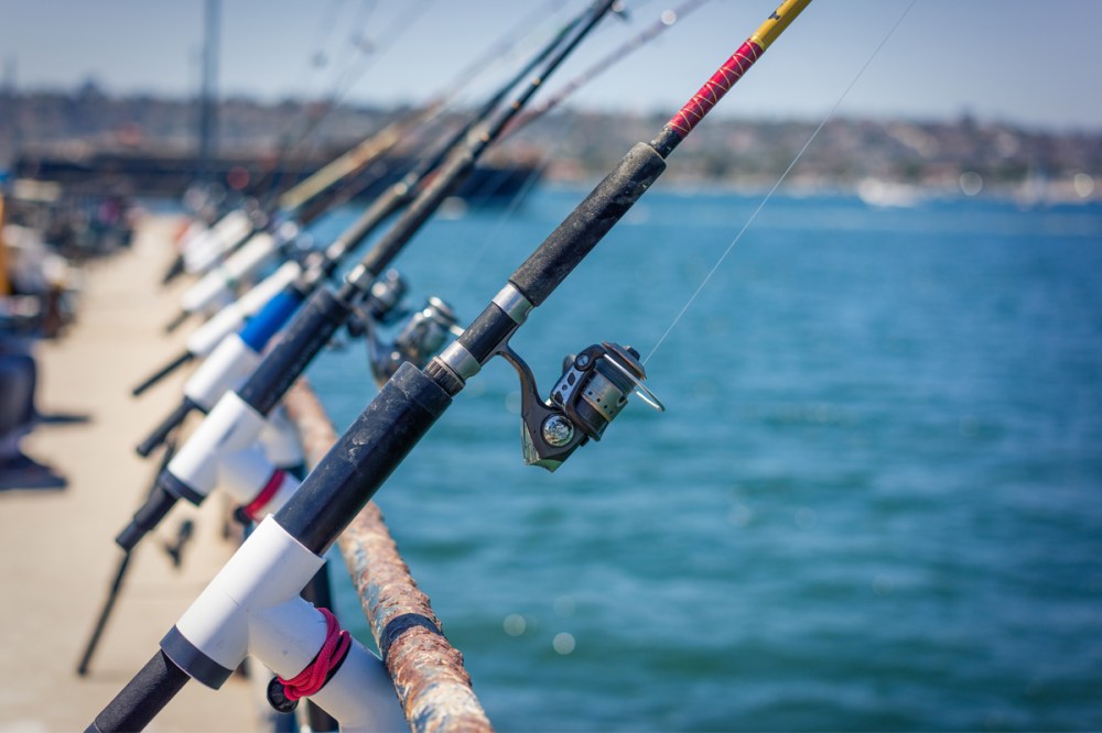 fishing poles along the Shelter Island pier in San Diego